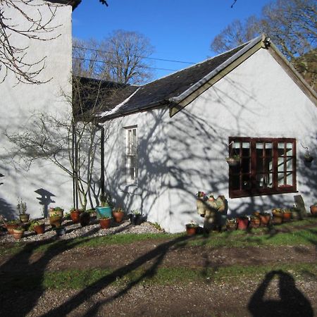 Appartement Balcraggie à Glenelg Extérieur photo
