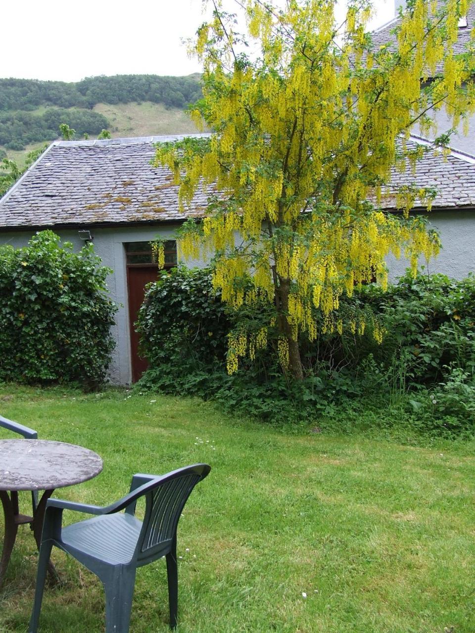 Appartement Balcraggie à Glenelg Extérieur photo